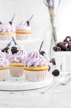 cupcakes with purple frosting and blackberries are on a white platter