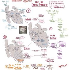 a diagram showing how to draw the human heart