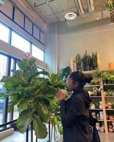 a woman standing next to a large potted plant in a room filled with plants