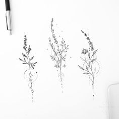 three drawings of flowers on a white surface