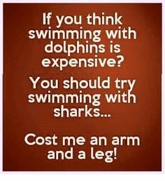 an image with the words, if you think swimming with dolphins is expensive? you should try swimming with sharks cost me an arm and a leg