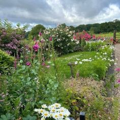 a garden filled with lots of flowers next to a lush green field covered in pink and white flowers