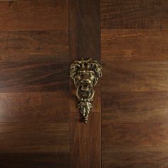 a wooden door with a lion head on it