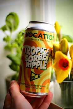 a person holding up a can of tropical sorbet rippler next to some flowers