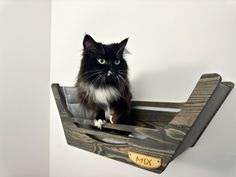 a black and white cat sitting on top of a wooden shelf