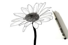 a black and white drawing of a flower with a pencil in the foreground next to it