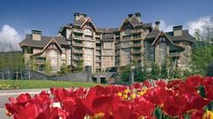 red and yellow flowers in front of a large building