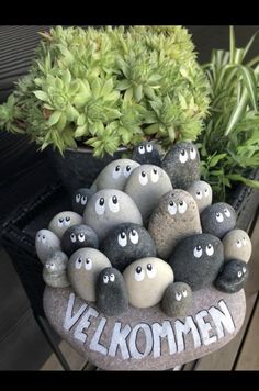 some rocks with eyes painted on them and plants in the background that say,'velkommen '