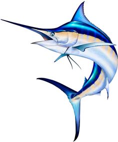 two blue marlin fish are jumping in the air