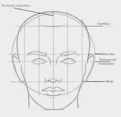 the face is shown with lines drawn to show how it's different angles and features