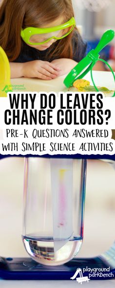 Activities For Kids Preschool, Fall Science Activities, Kids Preschool Learning, Fall Science, Mad Scientists, Preschool Stem, Simple Science, Science Activity, Creative Curriculum