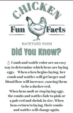 an advertisement for chicken farm, with the words did you know?