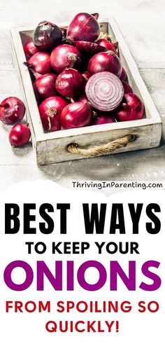 Say goodbye to wasted onions and hello to long-lasting freshness with these best ways to keep onions from spoiling! Explore the proper methods on how to keep onions fresh longer and where to store onions in your kitchen. By learning these techniques on how to keep onions from spoiling, you can ensure they stay fresh and full of flavor and benefits up to months, while minimizing waste. Dive in and learn everything you need to know on how to keep onions from going bad so quickly! How To Store Onions Long Term, How To Store Onions, Store Onions, Onion Storage, Cooking Conversions, Healthy Eating Inspiration, How To Store, Frozen Vegetables