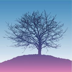 the silhouette of a tree on top of a hill with purple and blue sky in the background