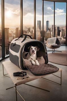 a dog sitting in its carrier on top of a table next to a large window