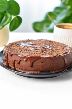 a chocolate cake sitting on top of a black plate next to a potted plant