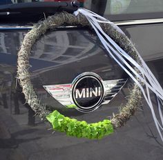 a steering wheel cover with the word mini written on it and some grass around it