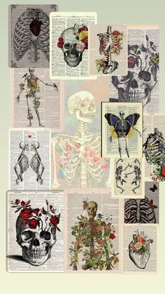 a collage of skulls, flowers and butterflies on an old book page with text