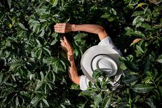 a man wearing a white hat standing in the middle of some green leaves with his arms wrapped around him