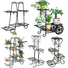 four tiered plant stand with potted plants on each shelf