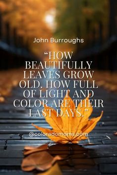 an orange leaf sitting on top of a wooden floor next to a quote that reads, how beautiful leaves grow old, how full of light and color are their last days