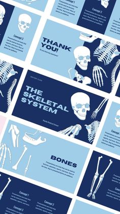 the skeletal system powerpoint presentation is shown in blue, white and pink colors with skeleton images