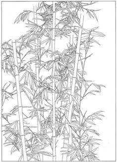 an ink drawing of bamboo trees in black and white