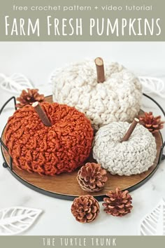 three crochet pumpkins sitting on top of a plate with pine cones around them