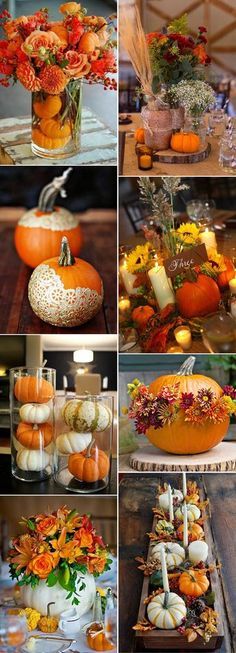 pumpkins, flowers and candles are arranged in pictures