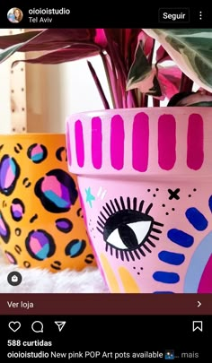 two potted plants with pink and blue designs on them, one has an eye painted on it