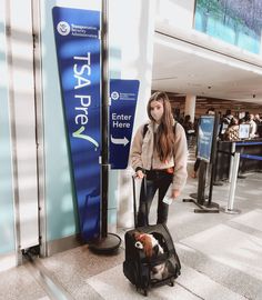 a woman pulling a suitcase with her dog in it at an airport terminal while waiting for the next flight