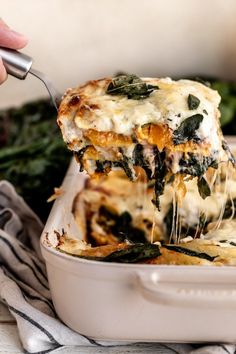 butternut squash lasagna with chard and gruyere cheese Butternut Squash Lasagna Recipe, Dairy Free Lasagna, Squash Lasagna, Butternut Squash Lasagna, Dairy Free Dinner, No Dairy, Dairy Free Diet, Vegetarian Entrees, Gluten Free Pasta