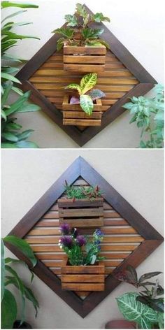 two pictures of plants in wooden boxes on the wall