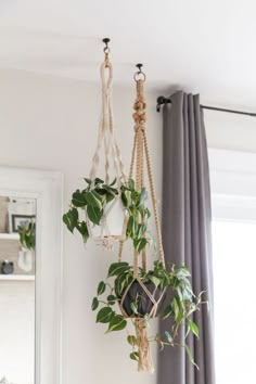 some plants hanging from the side of a window in a room with curtains and windowsills