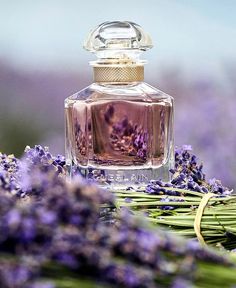 This fresh fragrance is produced with exceptional raw materials such as lavender, jasmine, sandalwood and vanilla. Mon Guerlain is a tribute to the modern women. The Quadrilobe bottle is crafted with strong lines and curves, expressing contemporary femininity. The Mon Guerlain EDP is attributed by its gold adornment.  #Guerlain #MonGuerlain #EauDeParfum #LuxuryFragrance #PerfumeLovers #FragranceCollection #ScentOfElegance #GuerlainBeauty #SignatureScent #FragranceAddict Guerlain Mon Guerlain, Perfume Versace, Fragrance Photography, Sephora Sale, Perfume Photography, French Perfume, Fresh Fragrances, Fragrance Collection