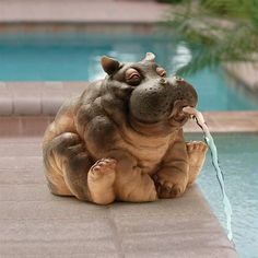 a statue of a hippopotamus sitting on the ground next to a swimming pool