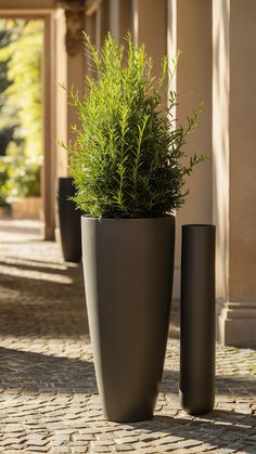 two tall planters sitting next to each other on a stone walkway with columns in the background