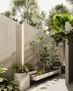 an outdoor garden with trees and plants on the side of a fenced in area