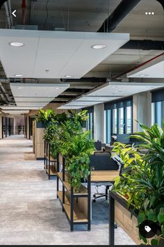 an office with plants in the middle of it