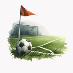 a soccer ball sitting on top of a field next to a red flag and net