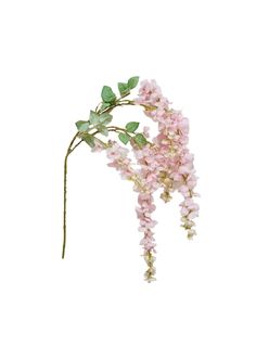 pink flowers with green leaves against a white background in the shape of a twig