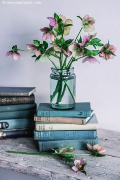 a vase filled with pink flowers sitting on top of books next to a stack of blue books