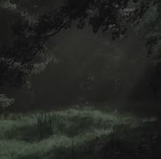 an empty bench in the middle of a grassy field with trees and grass around it