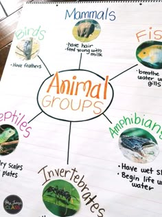 an animal groups poster with animals and their names on it's side, in front of a wooden table