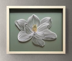 a white flower with yellow center on a green background in a wooden framed display case