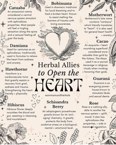 Rest And Digest, Heart Openers, Sympathetic Nervous System, Heart Feelings, Medical Herbs, Heart Rhythms, Herbal Apothecary