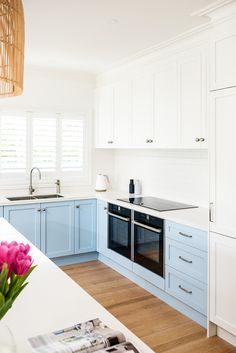 a kitchen with blue cabinets and white counter tops is pictured in this image, there are pink tulips on the counter