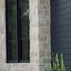 a black cat sitting on the ledge of a window sill next to a potted plant