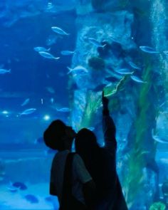 two people looking at fish in an aquarium