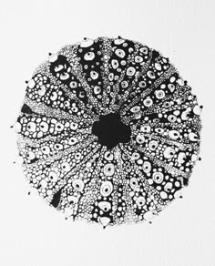 a black and white drawing of a flower with lots of bubbles on it's petals